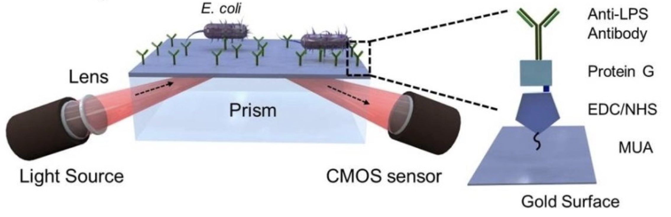 Microfluidic