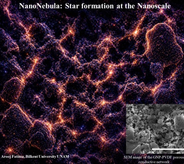 Arooj Fatima_Nanoart_2026
