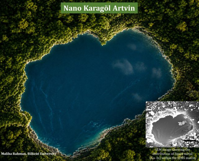 Nanoart_Maliha Rahman